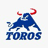 TOROS